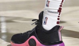 韦德之道10最新爆料,揭秘篮球鞋界的巅峰之作